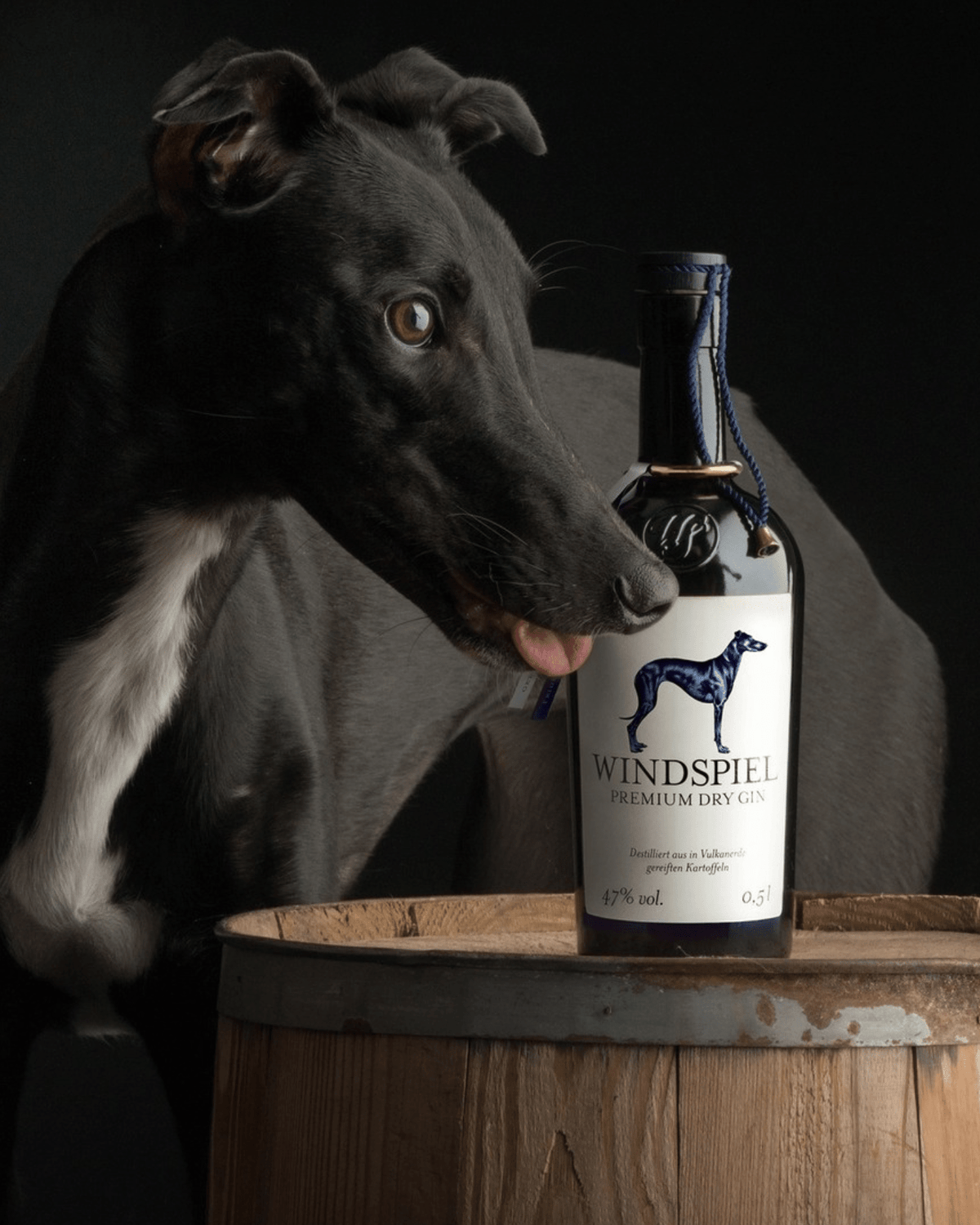 Windspiel Premium Gin