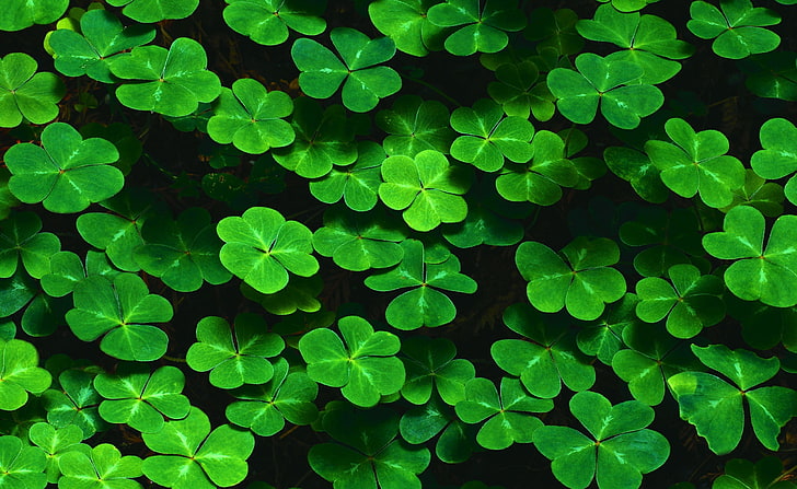St. Patrick's Day