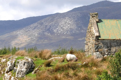 Connemara 12 Jahre Single Malt Irish Whiskey