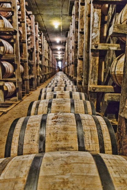 Rossville Union 5YO