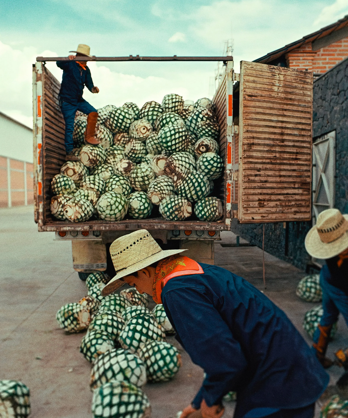 Almave Blanco Non-Alcoholic