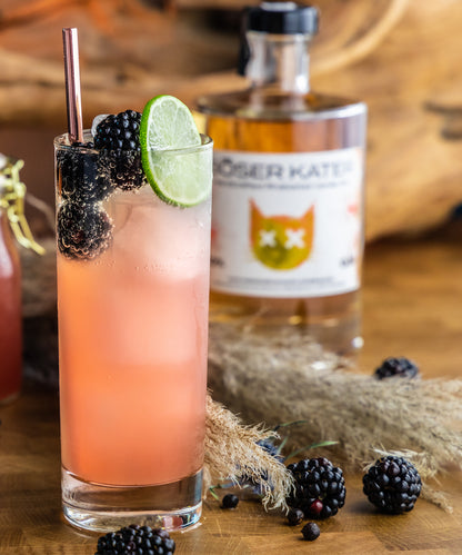 Böser Kater Rhabarber Vanilla Gin