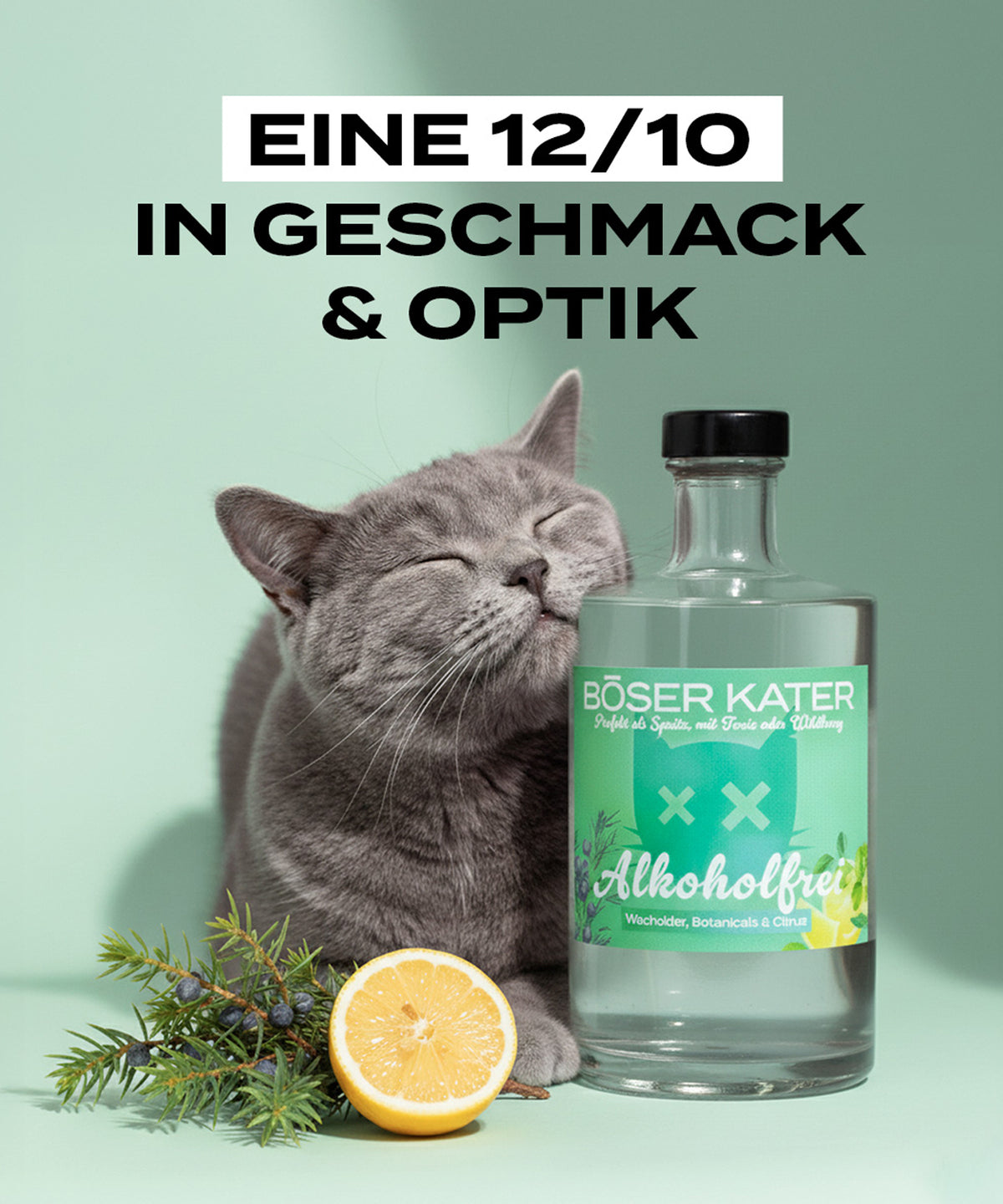 Böser Kater Alkoholfrei