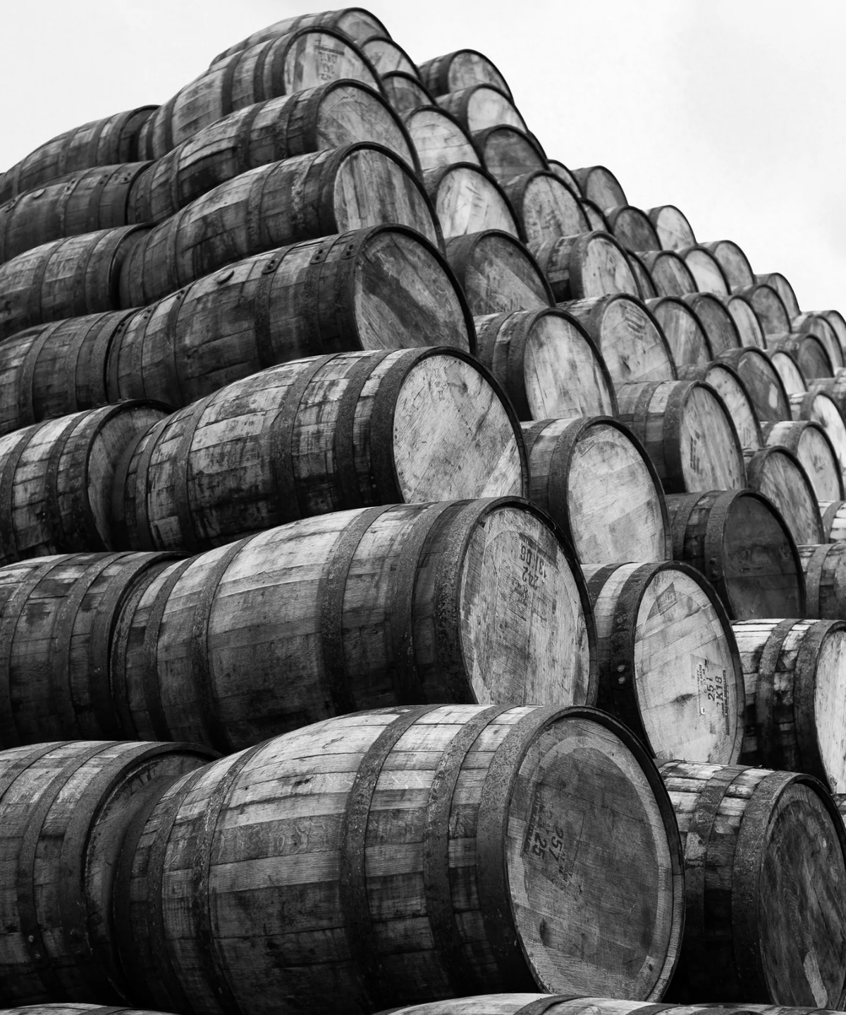 Signatory Ardmore 2009/2026 - 16 y.o. 1st Fill PX Sherry Cask Finish #2