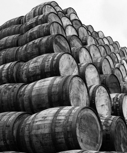 Signatory Ardmore 2009/2026 - 16 y.o. 1st Fill PX Sherry Cask Finish #2