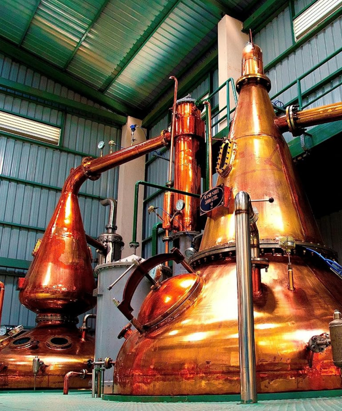 Amrut Bagheera