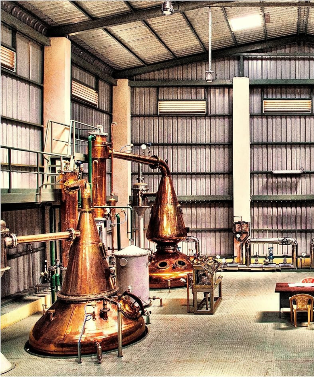 Amrut Bagheera