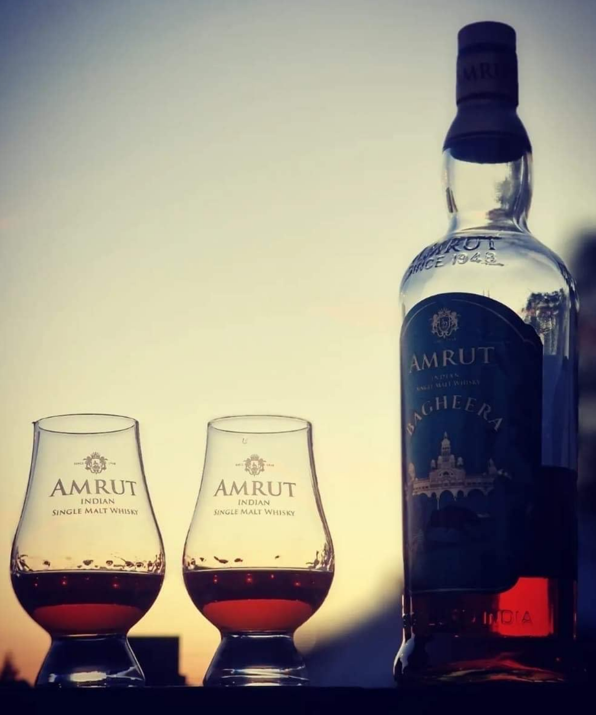 Amrut Bagheera